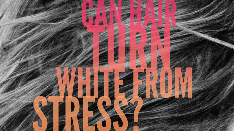 Article: Can Hair Turn White From Stress?